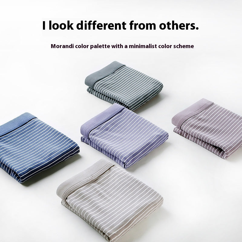 Summer Men's Underwear Modal Cotton Boxer